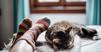Feet with cozy socks on them resting next to a cat